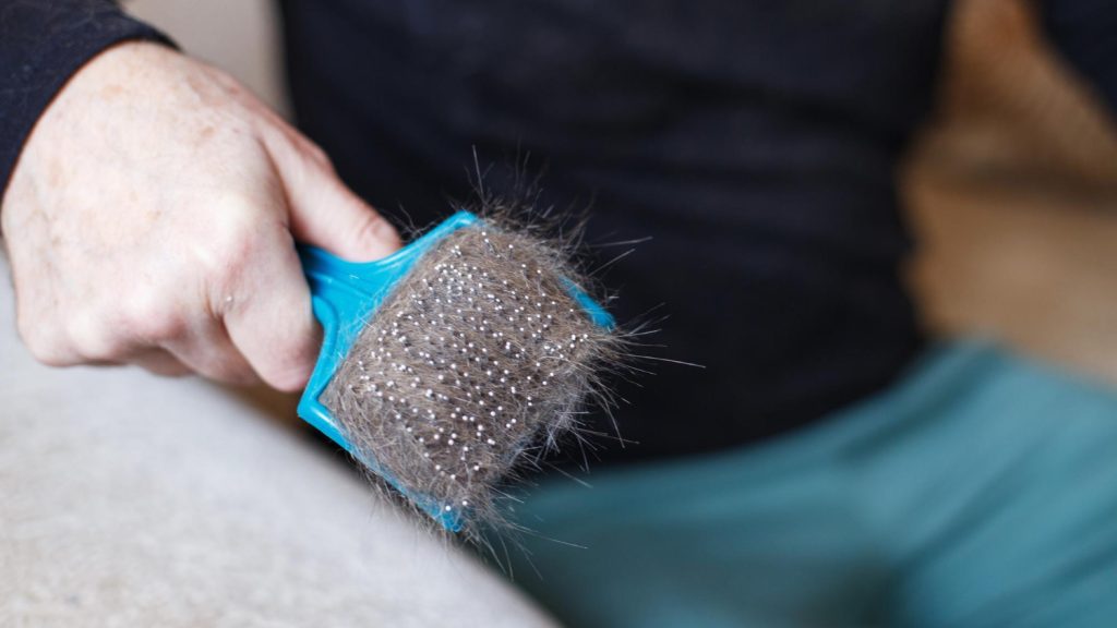 Best Methods to Remove Pet Hair